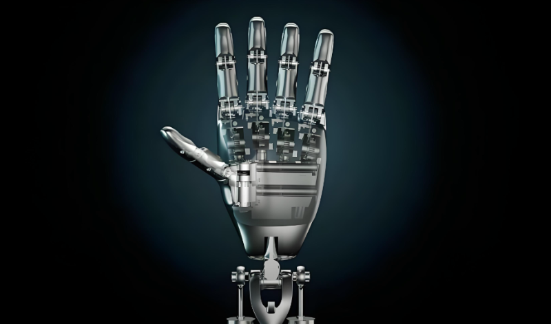 人形機(jī)器人手