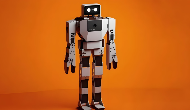 人形機(jī)器人