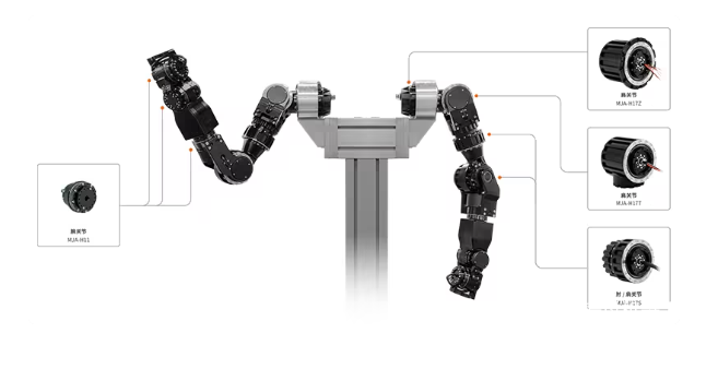 人形機(jī)器人關(guān)節(jié)