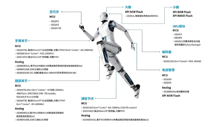 人形機器人關節(jié)分布圖