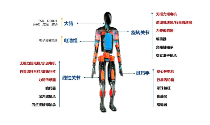 人形機(jī)器人關(guān)節(jié)突-網(wǎng)圖ps處理