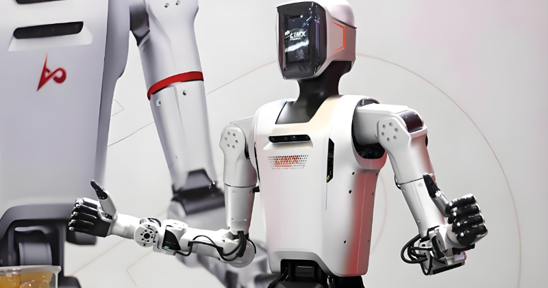 人形機(jī)器人-網(wǎng)圖