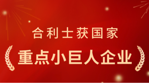 從小巨人到重點小巨人：合利士憑什么再獲國家認可？